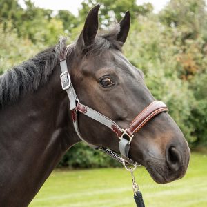 KM Elite Brown Leather & Grey Nylon Halter