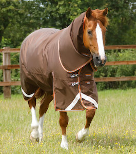 Titan 300g Turnout Rug with Snug-fit neck cover