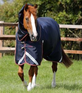 Titan 100g Turnout Rug with Snug-fit neck cover