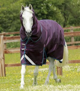 Titan 200g Turnout Rug with Snug-fit neck cover