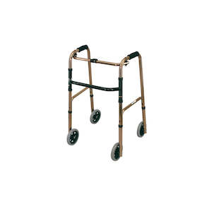 Medical and surgical equipment repair and maintenance: Walker Deluxe - 4 Fixed Wheels