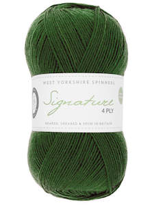 WYS 4 ply yarn - Evergreen (Preorder)