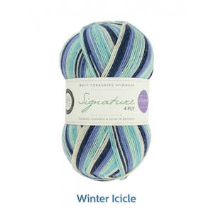 WYS 4ply Winter Icicle