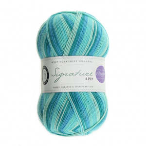 WYS Seascape 4ply Sock Yarn - Winwick Mum