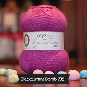 Yarn: WYS Signature 4 ply yarn - Blackcurrant Bomb