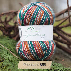 Yarn: WYS Pheasant - Country Birds