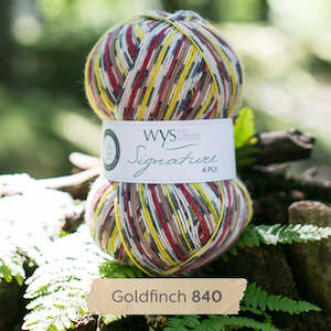 Yarn: WYS Gold Finch - Country Birds