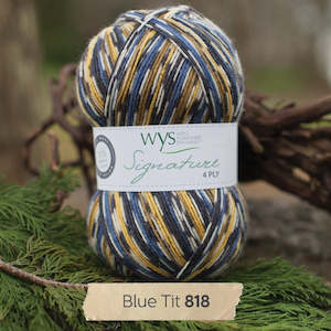 Yarn: WYS Blue Tit - Country Birds