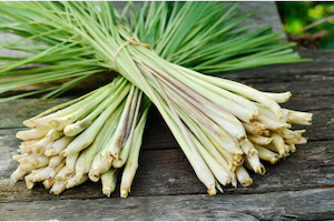 Lemongrass - Essential Oils of New Zealand