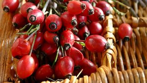 Essential oil distilling: Rosehip - 50ml - Essential Oils of New Zealand