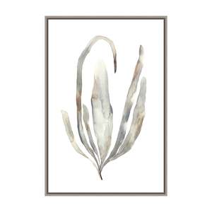 Wholesale trade: Water Colored Seaweed I Art