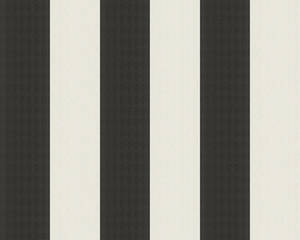 Karl Lagerfeld - Fashion Stripes