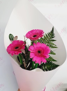 Trio of Gerberas