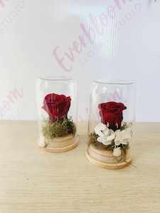 Preserved Roses in Glass Domes