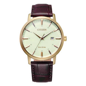 Citizen Gents Watch ECO-DRIVE BRIT SSYP WR50