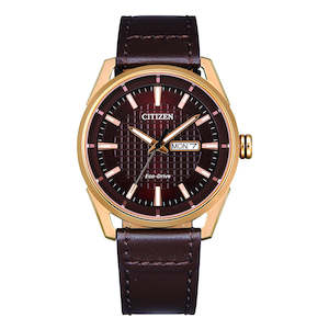 Citizen Gents Watch ECO-DRIVE STRP SSYP 100M