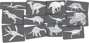 Discover Dinosaurs Picture Xrays and Cards