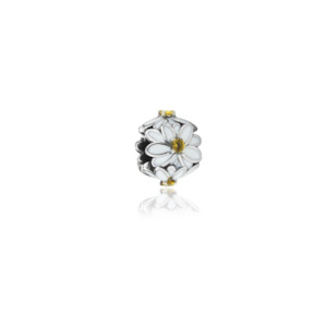 Jewellery: White Daisy (Cherished)