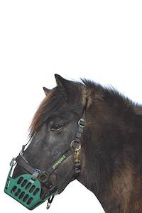 Greenguard Breakaway Halter