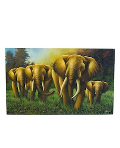 Interiors: Elephant Family