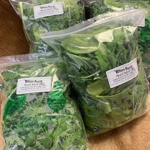 150gms Mixed Salad by Tomtit Farm