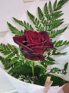 Single Red Rose