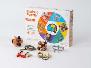 Puzzles: Brain Puzzle Set (set of 6) (RT5144)