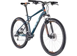 Mens Mountain Bikes: GT Aggressor Expert 29er Blue (Large)