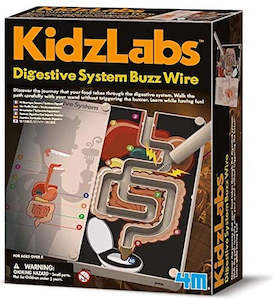 Kids Science 1: 4M Kidz Labs Digestive System Buzz Wire (03386)