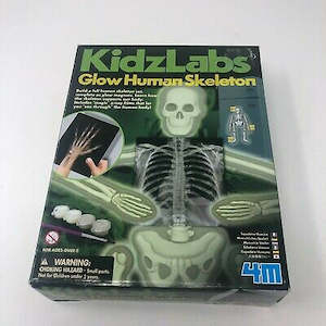 4M Glow Human Skeleton Science Kit (03375)