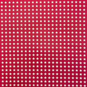 Printed Canvas - Fuchsia Star