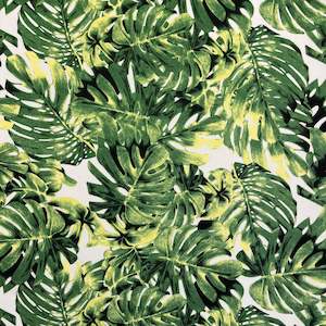 Printed Canvas - Monstera