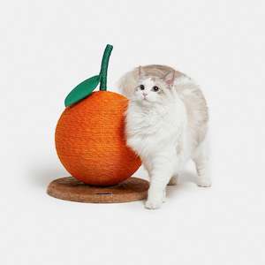 Pet: Cat Scratcher - Tangerine Ball