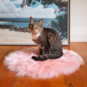 Pet: Cat Bed - NZ Sheepskin - Candyfloss Pink