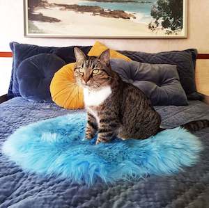 Pet: Cat Bed - NZ Sheepskin - Seafoam Blue