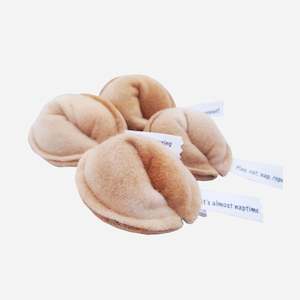 Organic Catnip Toy - Fortune Cookie