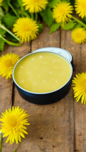 Milk and cream processing: Dandelion Natural Salve