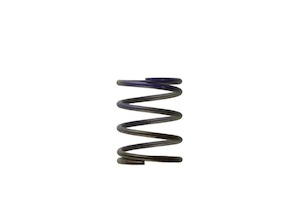 Turbosmart Gen4 / IWG WG38/40/45/50L 7PSI Middle Spring – Brown/Purple