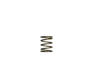 Products: Turbosmart GenV WG45/50 3psi Orange Inner Spring