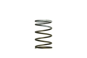 Turbosmart GenV WG60 7psi White Middle Spring