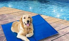 Pet: Cool Mat