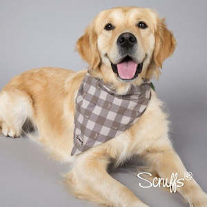 Scruffs Insect Dog Bandana