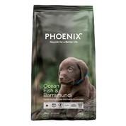 Phoenix Ocean Fish & Barramundi Large Breed Grain-Free Puppy Food