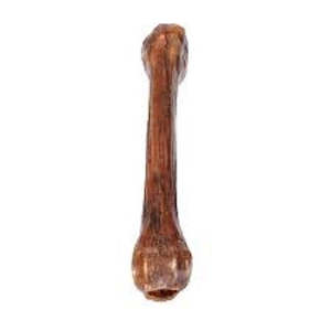 Pet: NZ Venison Shin Bone Dog Treat