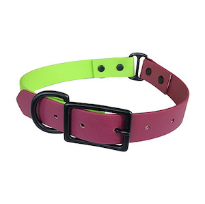 Green and Wine Collar - Large Fetch Gear