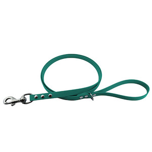 Teal Clip Lead - Biothane Fetch Gear