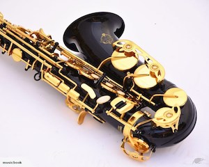 Brand New Suzuki Professional E flat Alto Saxophone - Fiddle Violin Guitar