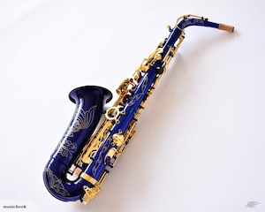 Brand New Suzuki Professional E flat Alto Saxophone - Fiddle Violin Guitar