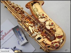 Brand New Suzuki Professional E flat Alto Saxophone - Fiddle Violin Guitar