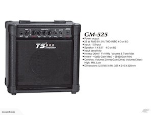 25w Electric Guitar Amp with CD input Only $99 - Fiddle Violin Guitar